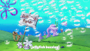 season 9 GIF by SpongeBob SquarePants