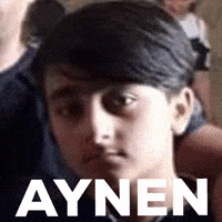 efeataturk aynen efeaynen GIF
