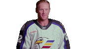 Sticker by Colorado Eagles
