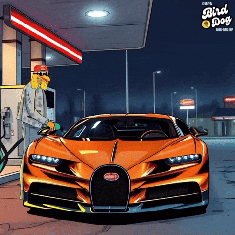 BirdDogERC meme car crypto cryptocurrency GIF