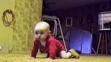 dogs babies GIF by Cheezburger