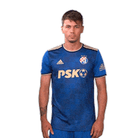 Football Soccer Sticker by GNK Dinamo