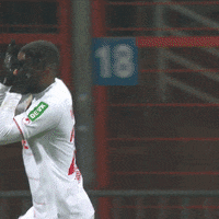 1 Fc Cologne Football GIF by 1. FC Köln