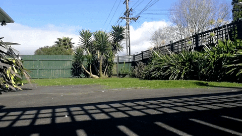 acetonicdotnet giphyupload nachos time lapse lawn GIF