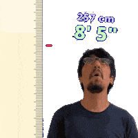 8Ft Sticker