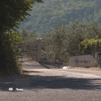 Erc GIF by FIA European Rally Championship