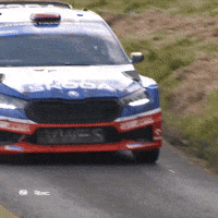 Erc GIF by FIA European Rally Championship