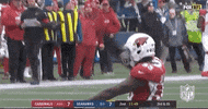 Regular Season Football GIF by NFL