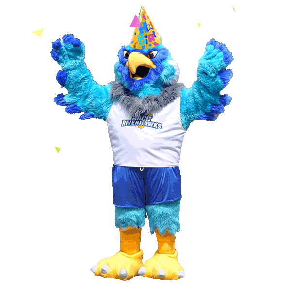 Celebrate Happy Birthday Sticker by Anne Arundel Community College for