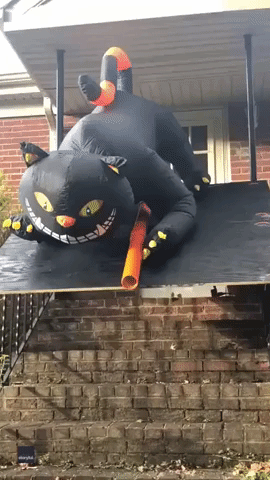 Couple Create Halloween-Themed Candy Chute for Social Distancing Trick-or-Treaters