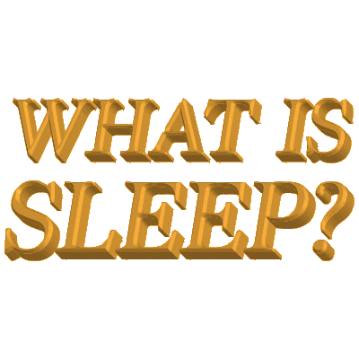 tired all nighter Sticker by UCLA