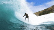 Climate Change Swimming GIF by PBS Digital Studios