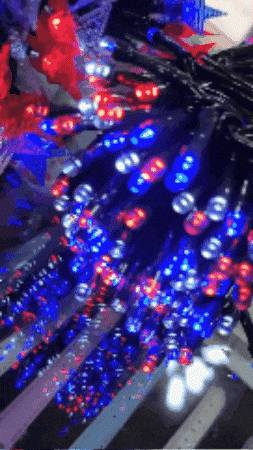 GIF animado