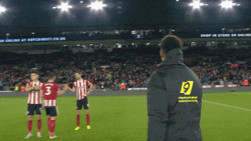 Sheffield United Blades GIF by Sheffield United Football Club