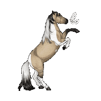 Horse Cheval Sticker