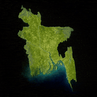 Bangladesh Flag Godzilla GIF