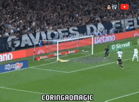 Santos Fc Futebol GIF