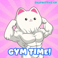 Cats Gym GIF by Silly Kitties