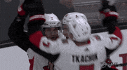 ice hockey hug GIF by NHL