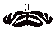 Butterfly Gm Sticker