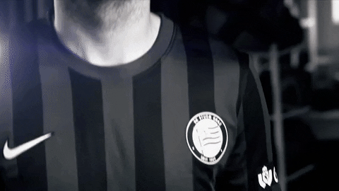 Europa League Celebration GIF by SK Sturm Graz