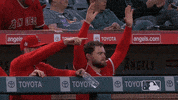 Regular Season Sport GIF by MLB