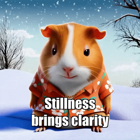 Winter Wisdom GIF by Guinea Gambino