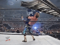 wwe sports wwe wrestling 2005 GIF