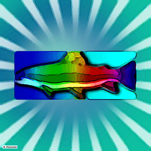 art code GIF by Michel Poisson