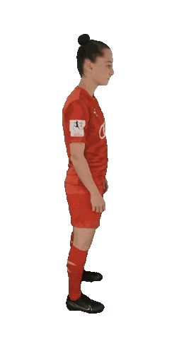 schanzerinnen giphyupload Sticker
