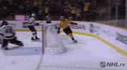 happy ice hockey GIF by NHL