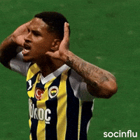 Oosterwolde GIF by Socinflu