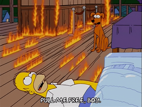 homer simpson GIF