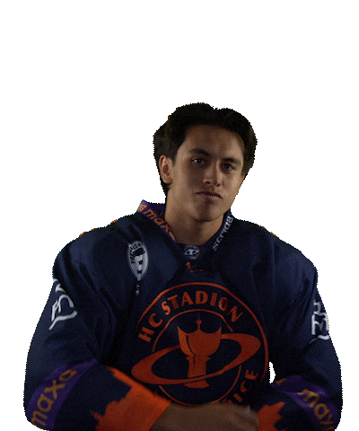 Sport Hokej Sticker by HCSTADION