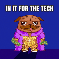 Dog Money GIF by BigBrains