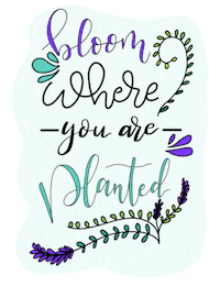 Stars Plants Sticker