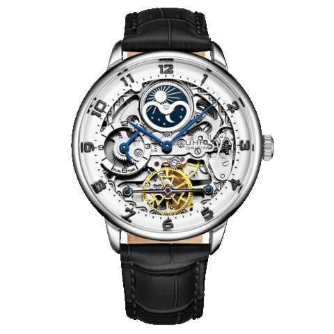 Stuhrlingmx giphyupload legacy dublin tiempo Sticker