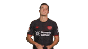 Bayer Leverkusen Sticker by Bundesliga