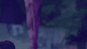 Famíliashore GIF by MTV Brasil