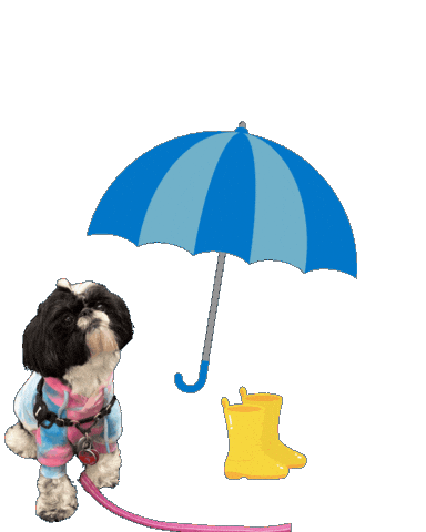 Sticker by healthonhavencuimc