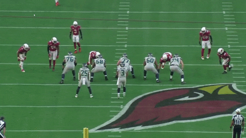 xocoveza giphyupload GIF