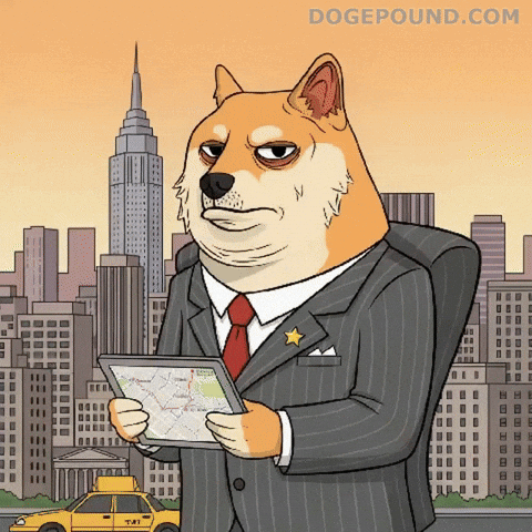 New York City Ugh GIF by Doge Pound