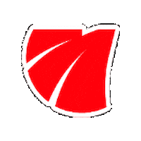 Pneu Sticker by Magnum Tires