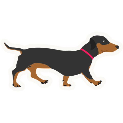 Dog Puppy Sticker by Vitality