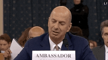 Impeachment Hearings GIF
