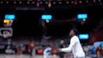 James Harden GIF by Brooklyn Nets