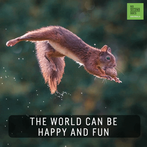 Photography Joy GIF by 60 Second Docs