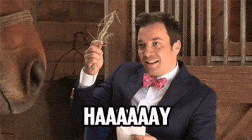TV gif. Jimmy Fallon on the Tonight Show is wearing a suit as he sits in a barn. He holds a little bundle of hay in his hand and he says, "Hayyyy," before tossing it away and smiling cheesily.