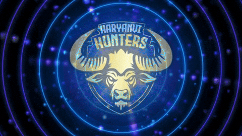 Bull Hh GIF