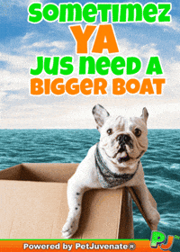 PetJuvenate petjuvenate henlo hooman fren love rescue dogs treatos and woofer for pupper GIF